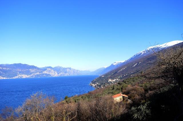 Villa Mery Torri Del Benaco Dış mekan fotoğraf